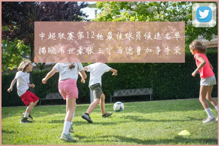 中超联赛第12轮最佳球员候选名单揭晓韦世豪张玉宁马德鲁加争夺荣誉