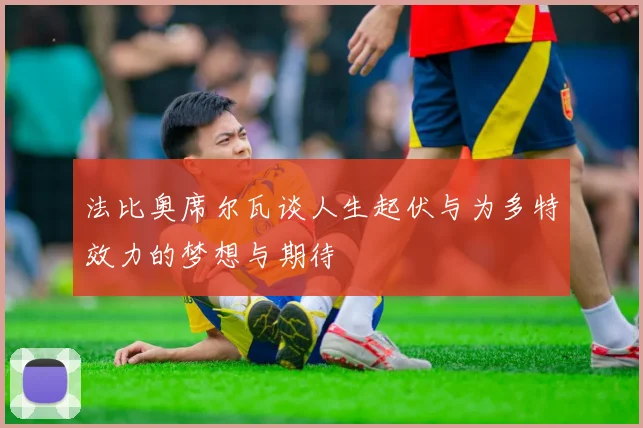 法比奥席尔瓦谈人生起伏与为多特效力的梦想与期待